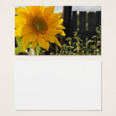 Sunflower and Fence (Front & Back)