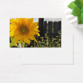 Sunflower and Fence (Desk)