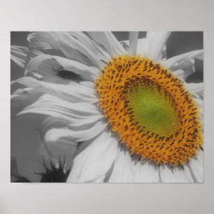 Sunflower And Insect Friend Partial Color Poster