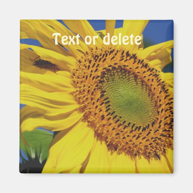 Sunflower And Insect Guest Personalized Magnet (Front)