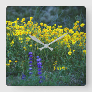 Sunflower and Lavender Square Wall Clock