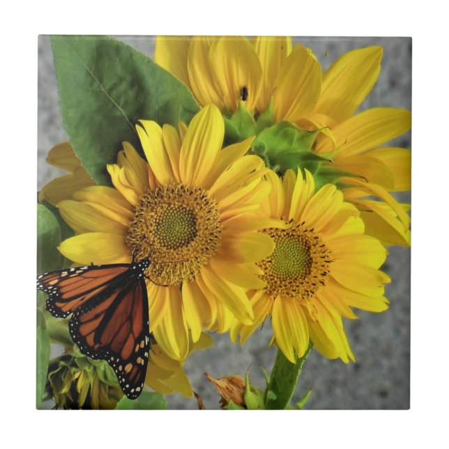 Sunflower and Monarch Butterfly Ceramic Tile (Front)