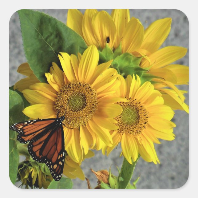 Sunflower and Monarch Butterfly Stickers (Front)