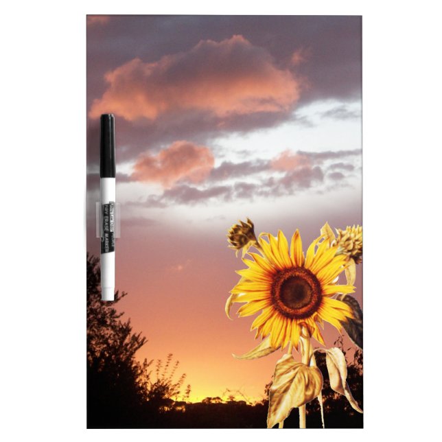 SUNFLOWER AND PINK SUMMER SUNSET Dry-Erase BOARD (Front)