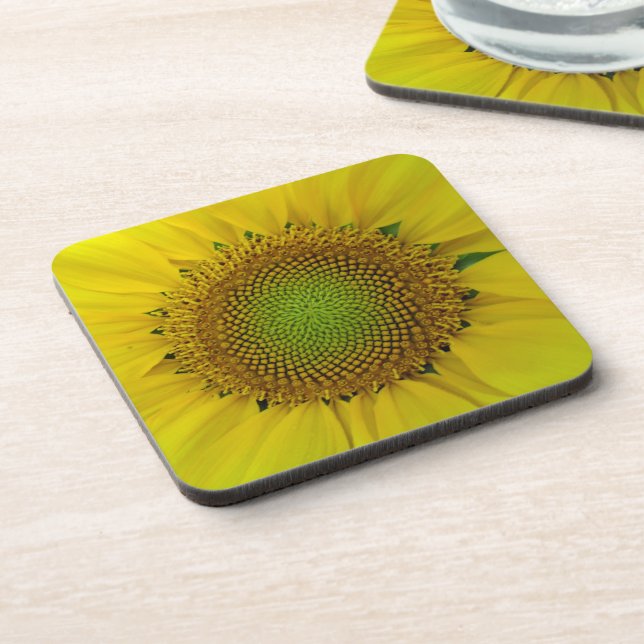 Sunflower and Seeds, Spiral, Golden Ratio  Beverage Coaster (Left Side)
