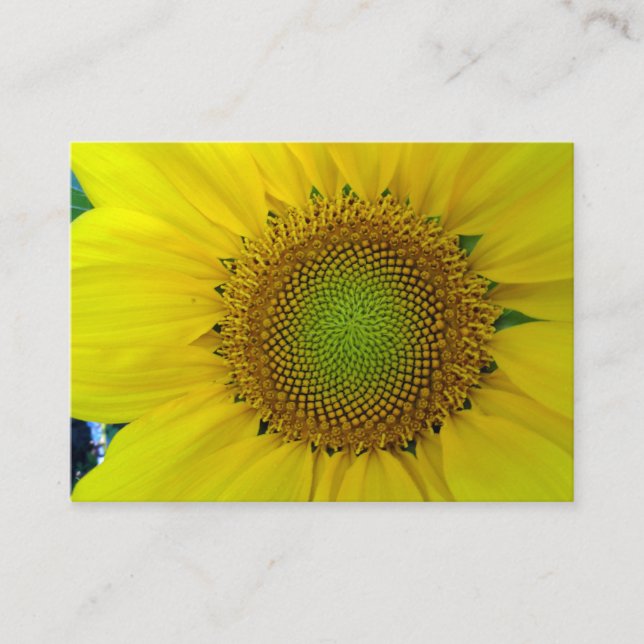 Sunflower and Seeds, Spiral, Golden Ratio  Enclosure Card (Front)