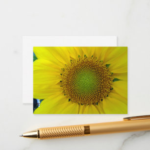 Sunflower and Seeds, Spiral, Golden Ratio  Enclosure Card