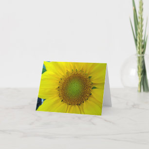 Sunflower and Seeds, Spiral, Golden Ratio Letterpress Thank You Card