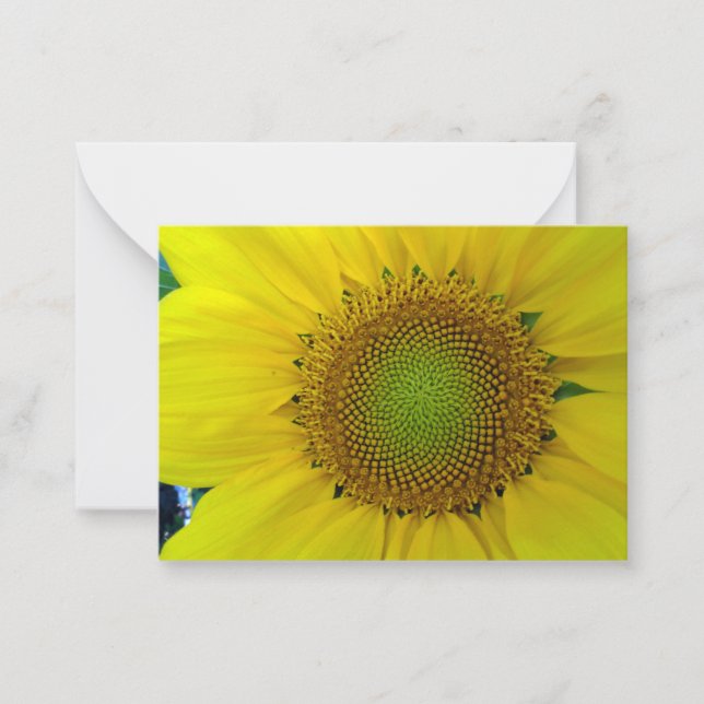 Sunflower and Seeds, Spiral, Golden Ratio  Note Card (Front)