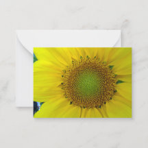 Sunflower and Seeds, Spiral, Golden Ratio