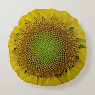 Sunflower and Seeds, Spiral, Golden Ratio  Round Pillow