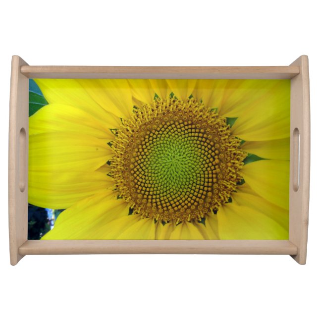 Sunflower and Seeds, Spiral, Golden Ratio  Serving Tray (Front)