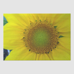 Sunflower and Seeds, Spiral, Golden Ratio  Tissue Paper
