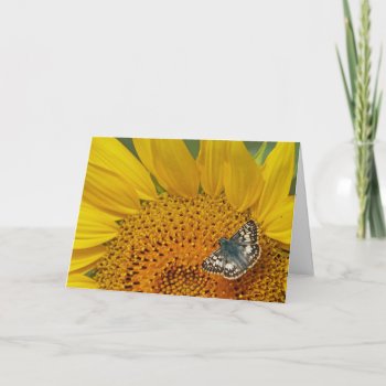 Sunflower And Skipper Butterfly Birthday Card by Considernature at Zazzle