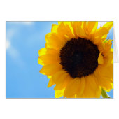 Sunflower and Sky (Front Horizontal)