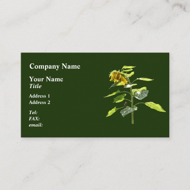 Sunflower and Sparrow Business Card (Front)
