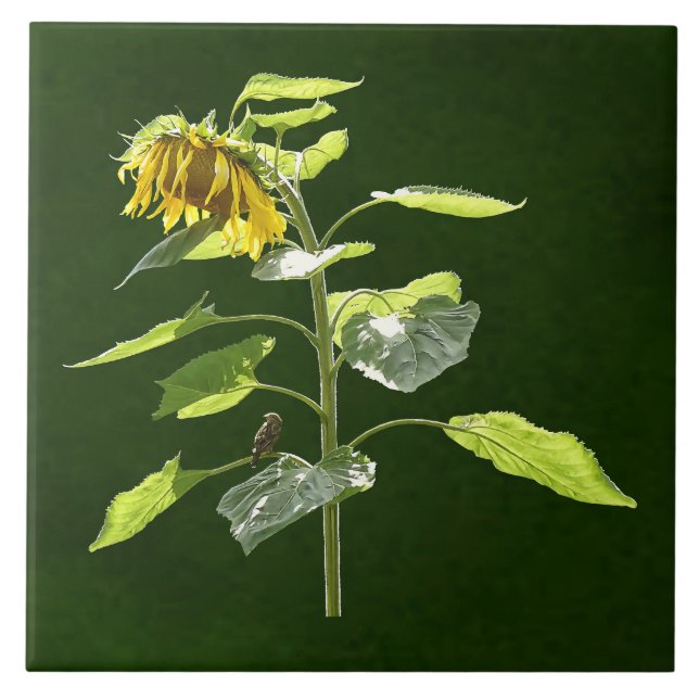 Sunflower and Sparrow Ceramic Tile (Front)