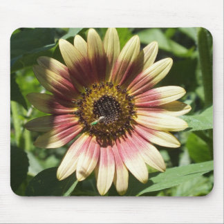 Sunflower and The Green Bee Mouse Pad