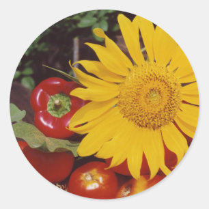 Sunflower and Vegetables - Tomatoes, Red Peppers Classic Round Sticker