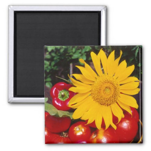 Sunflower and Vegetables _ Tomatoes Red Peppers Magnet