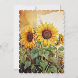 Sunflower Announcement