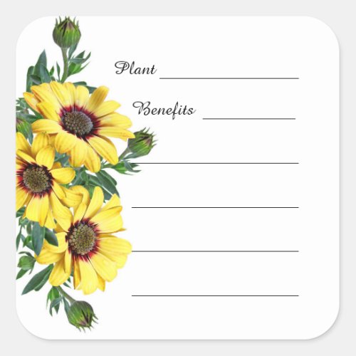 Sunflower Apothecary Herbs Plant Benefits Sticker