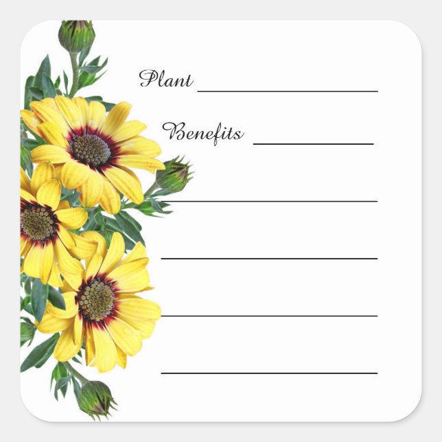 Sunflower Apothecary Herbs Plant Benefits Sticker (Front)