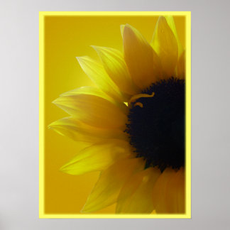 Sunflower Art Print Beautiful Flower Art Print