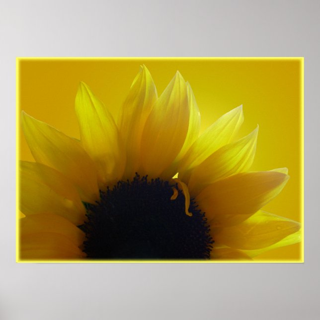 Sunflower Art Print Beautiful Flower Art Print (Front)