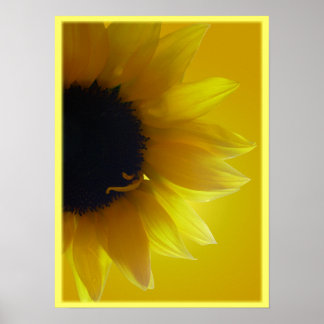 Sunflower Art Print Beautiful Flower Art Print