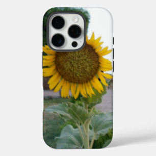 Sunflower Art Print iPhone 16 Pro Case