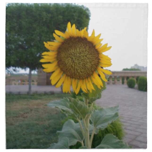 Sunflower Art Print Cloth Napkin (Front)