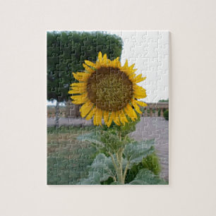 Sunflower Art Print Jigsaw Puzzle