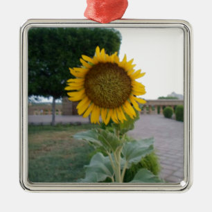 Sunflower Art Print Metal Ornament