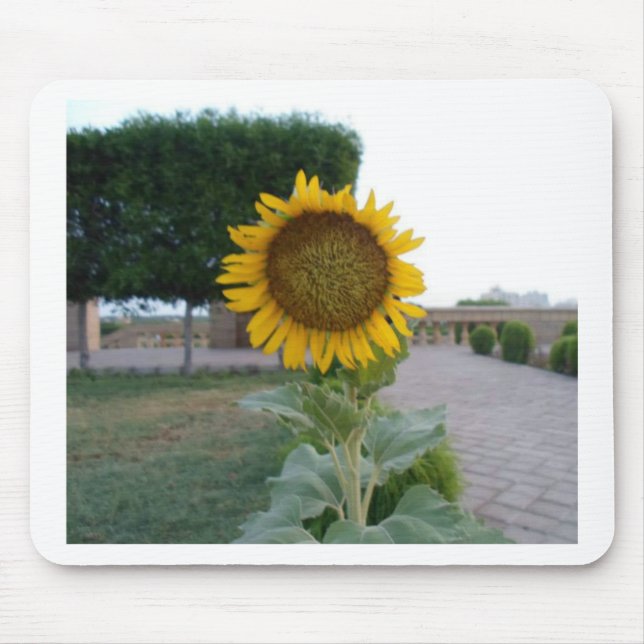 Sunflower Art Print Mouse Pad (Front)