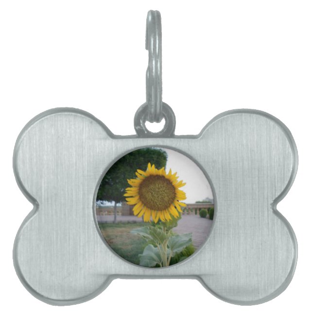 Sunflower Art Print Pet Tag (Front)