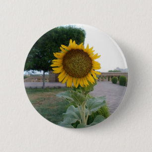 Sunflower Art Print Pinback Button