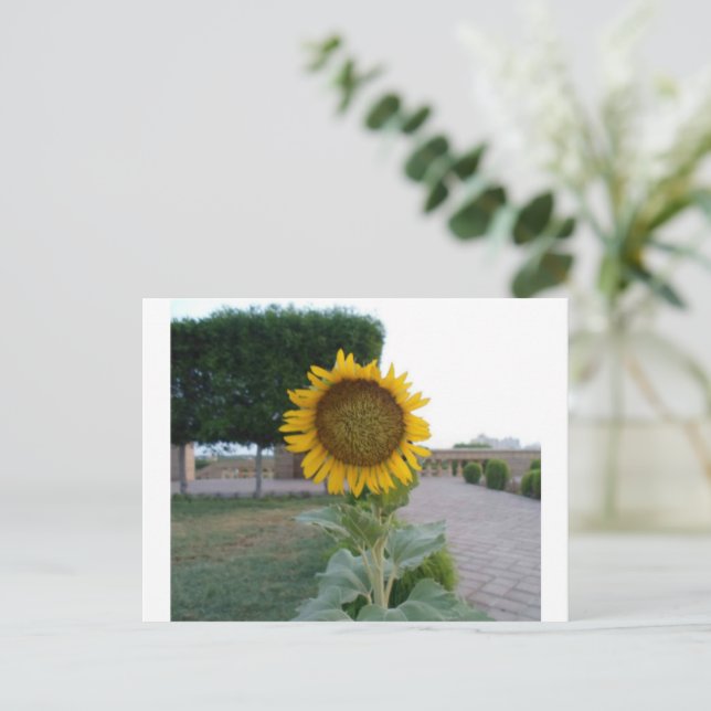 Sunflower Art Print Postcard (Standing Front)