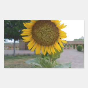 Sunflower Art Print Rectangular Sticker