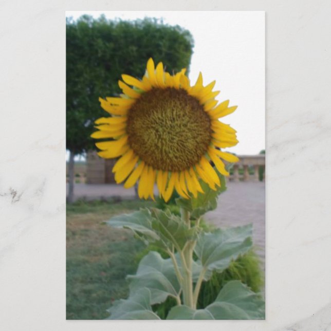 Sunflower Art Print Stationery (Front)