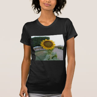 Sunflower Art Print T-Shirt