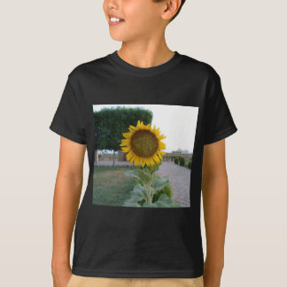 Sunflower Art Print T-Shirt