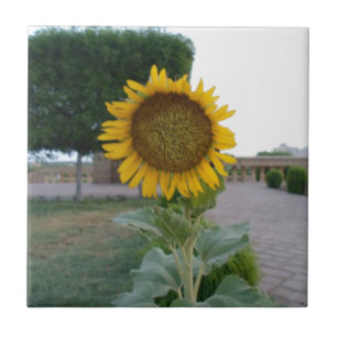 Sunflower Art Print Tile