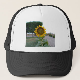 Sunflower Art Print Trucker Hat