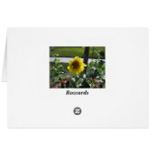 Sunflower at end of summer cards (Back Horizontal)