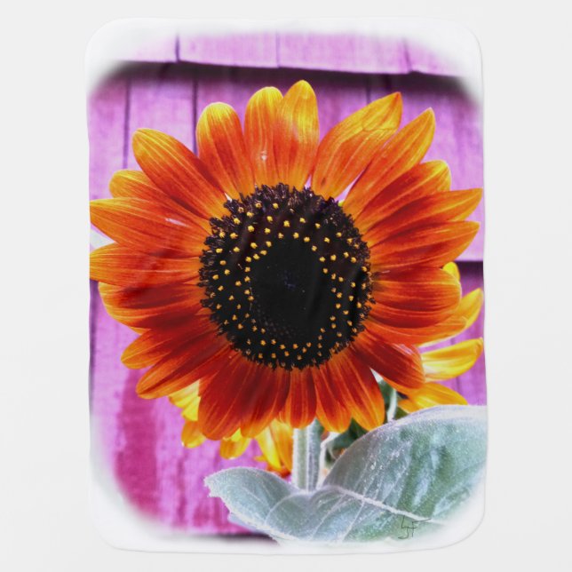 Sunflower Baby Blanket (Front)