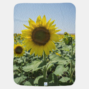 Sunflower Baby Blanket