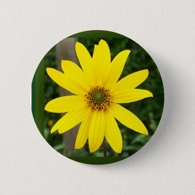 Sunflower Badge or Button (Front)