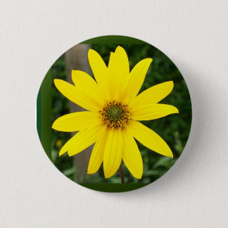 Sunflower Badge or Button