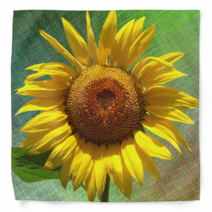 Sunflower Bandana